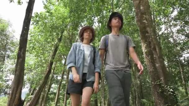 在夏令营期间 两名亚洲少年学生在森林公园里徒步旅行 男孩和女孩在绿树下走过丛林 户外运动 Uhd — 图库视频影像