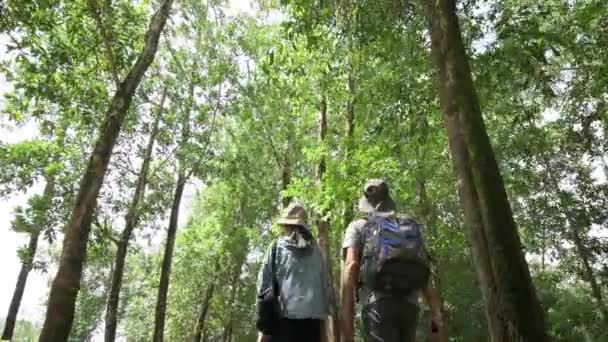 Yaz Boyunca Tropikal Orman Parkında Sırt Çantalı Iki Genç Kız — Stok video