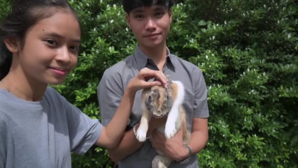 Ασιάτης Νεαρός Αδελφός Και Αδελφή Απολαμβάνουν Φροντίδα Ένα Χαριτωμένο Κουνέλι — Αρχείο Βίντεο