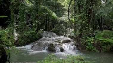Yazın, tropikal yağmur ormanlarında, güneş ışığı altında kayaların üzerinden akan su akışının güzel doğa manzarası. Tayland. UHD. 4K.