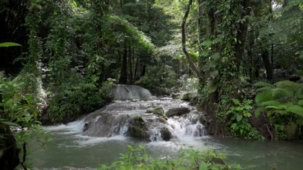 热带热带雨林中美丽的自然景观从岩石上的瀑布流过 经过阳光下的绿色植物 Uhd — 图库视频影像