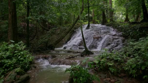 우림의 무성한 식물을 급속하게 흐르는 폭포의 아름다운 조용한 마노라 팡나이 — 비디오
