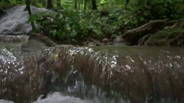 トロピカル熱帯雨林の緑豊かな葉植物を介してモッシーな岩の上に流れるクローズアップ水流 ジャングルのカスケードからの淡水のスライドショット スローモーション — ストック動画
