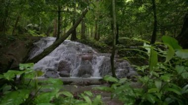 Yağmur ormanlarındaki yemyeşil bitkilerin arasından dağların üzerinden akan suyla çağlayan güzel bir şelale manzarası. Vahşi doğada tazelik ve yeşillik. Tayland. UHD. 4K.