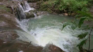 Su akıntısı yosunlu kayaların üzerinden doğal havuza akıyor. Tropikal yağmur ormanlarında küçük çağlayanlar. Doğada güzellik. Çevresel koruma. Tayland. UHD. 4K.