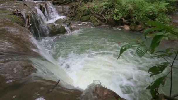 水流过长满青苔的岩石流入天然水池 热带雨林的小瀑布 大自然的美丽 环境保护 Uhd — 图库视频影像