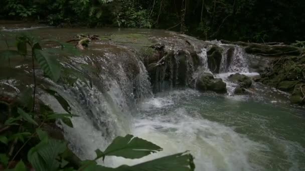 Arroyo Agua Fluye Rápidamente Sobre Cascada Hacia Estanque Natural Selva — Vídeos de Stock