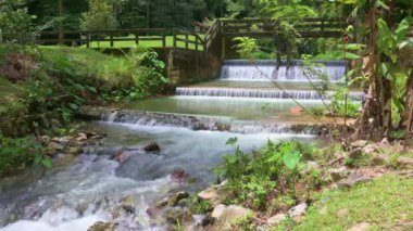 Su, Raman Orman Parkı 'ndaki yeşil bitkilerden akan küçük beton bir su birikintisi. Yazın su kaynağı. Doğal koruma için. Phang Nga Eyaleti. Tayland.