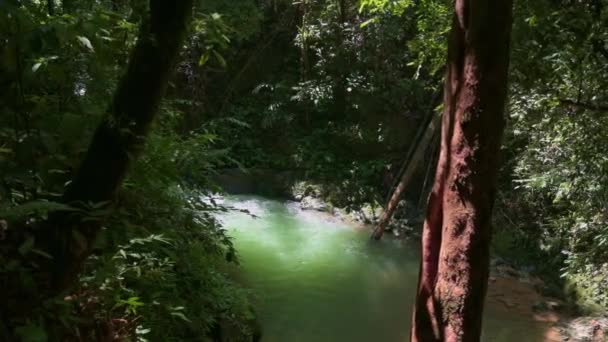 Maravillosa Cascada Oculta Selva Tropical Con Agua Clara Verde Esmeralda — Vídeos de Stock
