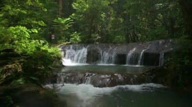 Yağmur ormanlarında güneş ışığı altında yemyeşil yapraklarla çevrili yosunlu kayaların arasından akan güzel çağlayan manzara. Sa Nang Manora Şelalesi. Phang Nga Eyaleti. Tayland. UHD. 4K.