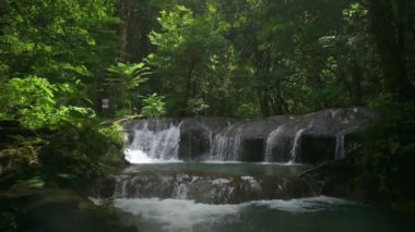 Yağmur ormanlarında güneş ışığı altında yeşil bitkilerle çevrili yosunlu kayalıkların arasından akan su ile dolu Idyllic şelale manzarası. Sa Nang Manora Şelalesi. Phang Nga Eyaleti. Tayland. Yavaş çekim.