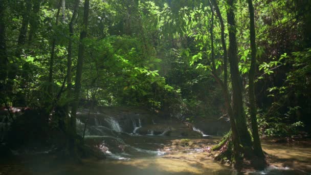美丽的早晨 在热带雨林茂密的树叶树荫下 水流过岩石的景色 阳光下瀑布般宁静的风景 Uhd — 图库视频影像