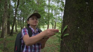 Tropikal yağmur ormanlarında yetişen bitki türlerini incelerken dijital tablet üzerinde çalışan Asyalı kadın ekolojist. Çevre ve ekosistem kavramı. Biyoloji aktivisti.