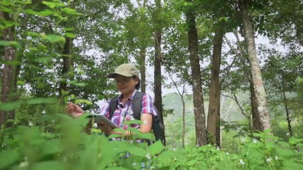 アジアの女性生物学者は 森の大きな木の下で成長する緑の植物を観察しながら デジタルタブレットに取り組んでいます 環境保全について 自然における光合成の学習プロセス — ストック動画
