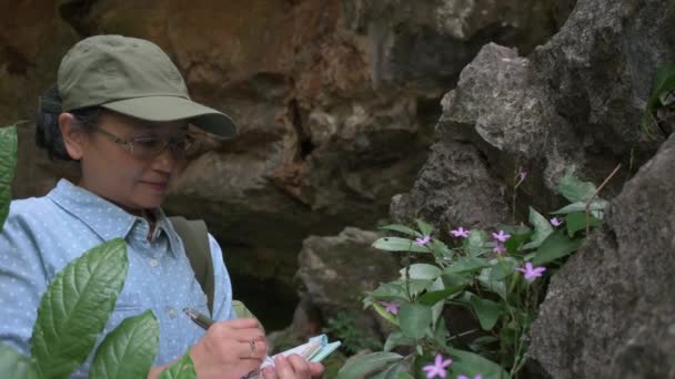 Orta Yaşlı Kadın Botanikçi Dağdaki Kayalarda Yetişen Bitki Çiçeklerin Özelliklerini — Stok video