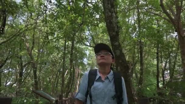 Ecologista Asiática Con Mochila Está Caminando Explorando Parque Forestal Manglares — Vídeos de Stock