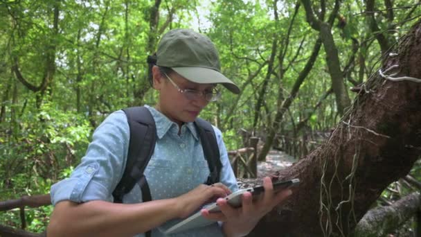 Mujer Asiática Investigadora Biológica Que Trabaja Tableta Digital Bosque Manglares — Vídeos de Stock