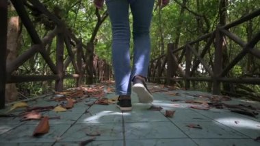 Mangrove Orman Parkı 'ndaki köprüde kot pantolon giymiş kadınların bacaklarını izlemek. Ağır çekim. Ayaklar sonbahar günü açık havada. Yazın ormanlık alanda ilerlemek..