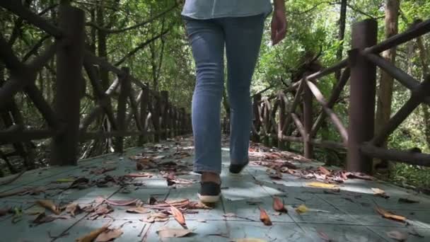 Takana Näkymä Naisturisti Rento Mekko Kävely Sillalla Mangrove Forest Park — kuvapankkivideo