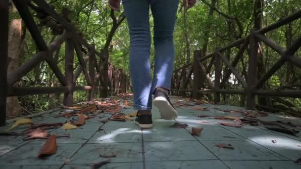 Sleduju Ženské Nohy Džínách Kráčejících Pěšině Mostě Mangrovském Lesoparku Zpomal — Stock video