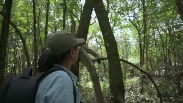 Mujer Botánica Asiática Con Mochila Caminando Explorando Naturaleza Bosque Manglares — Vídeos de Stock