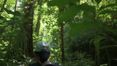Sırt çantalı bir kadının yaz boyunca ağaçların gölgesinde sık yapraklı yağmur ormanlarında yürüyüş yaparken çekilmiş dikiz görüntülerini izliyorum. Orman macerası. Açık hava takibi. Tek başına yürüyüş. UHD.4K.
