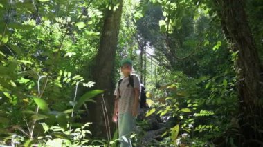 Sırt çantalı yalnız kadın turist sabah güneşinde yoğun yağmur ormanlarında yürüyüş yaparken yön arıyor. Orman macerası. Açık hava takibi. UHD. 4K.
