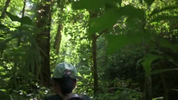 追踪调查夏天背着背包在茂密茂密的树叶茂密的热带雨林树荫下跋涉的女人的后视镜 丛林探险户外追捕 一个人徒步旅行Uhd — 图库视频影像