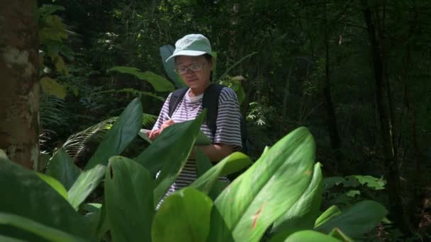 亚洲女植物学家正在观察和注意热带雨林中生长的绿色植物的特性 野生植物光合作用的研究 Uhd — 图库视频影像