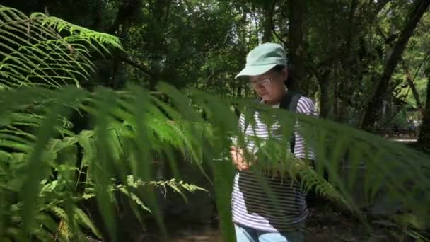 Ecologista Asiática Está Estudiando Crecimiento Hábitat Helechos Grandes Selva Tropical — Vídeo de stock