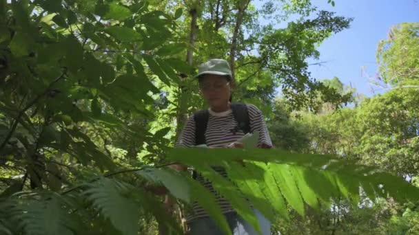 在森林工作的女生物学家或科学家 检查树木和植物 环境与生态系统的概念 学习光合作用的自然和生物过程 Uhd — 图库视频影像