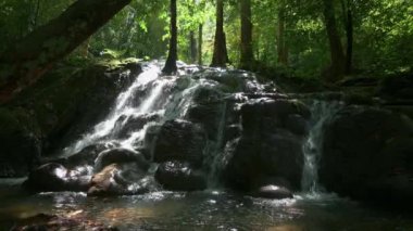 Yağmur ormanlarında aydınlatılmış güneş ışığı altında kayaların üzerinden akan su ile inanılmaz bir tropikal şelale. Vahşi doğadaki şelalenin güzel sakin manzarası. Doğada güzellik. UHD. 4K.