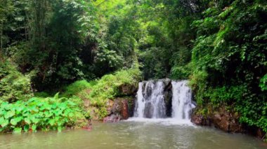 Güneş ışığı altında, tropikal yağmur ormanlarında yeşil bitki örtüsüyle çevrili güzel bir şelale. Ton Yai Şelalesi, Surat Thani Eyaleti, Tayland. 4K.