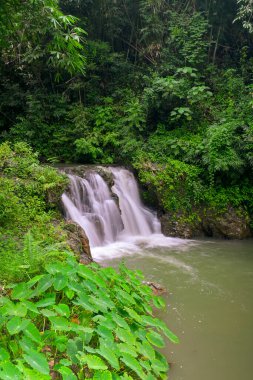 Şelale boyunca akan güzel su akıntısı tropikal yağmur ormanlarındaki yeşil bitkilerin arasından akar. Ton Yai Şelalesi, Surat Thani Eyaleti, Tayland. Vahşi doğada manzara..