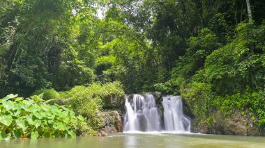 Yağmur ormanlarında yemyeşil bitki örtüsüyle çevrili güzel bir şelale manzarası. Ton Yai Şelalesi, Surat Thani Eyaleti, Tayland. Muhteşem tropikal vahşi doğa.