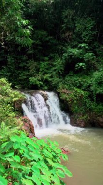 Güneş ışığı altında, tropikal yağmur ormanlarında yeşil bitki örtüsüyle çevrili güzel bir şelale. Ton Yai Şelalesi, Surat Thani Eyaleti, Tayland. Dikey çekim. 4K.