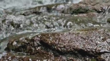 Çağlayanlardan akan yakın su akıntısı tropikal yağmur ormanlarındaki kayaların üzerinden akıyor. Doğal koruma.
