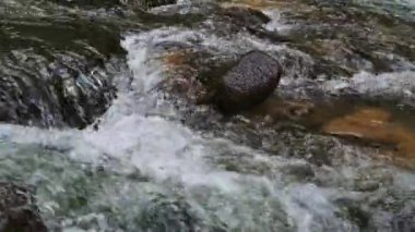 Vahşi dağ nehri kayaların arasından akıyor, berrak su akıntısı tropikal yağmur ormanlarında akıyor, ağır çekim.
