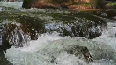 Ormandaki kayaların arasından akan vahşi nehir, tropikal yağmur ormanlarında akan temiz su akıntısı, ağır çekim....