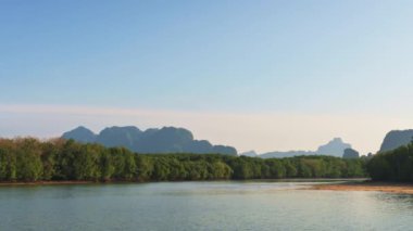 Yazın Phang Nga Körfezi 'nde sakin bir sahil manzarası. Mangrov ormanının güzel manzarası ılık sabah güneşi altında mavi gökyüzü. Tayland. 4K.