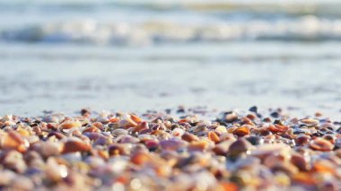 Deniz suyu dalgalarının sahile çarptığı küçük deniz kabuklarını kapatın. Deniz kıyısının düşük açılı görüntüsü ve güneş ışığı altında küçük bir dalga.. 