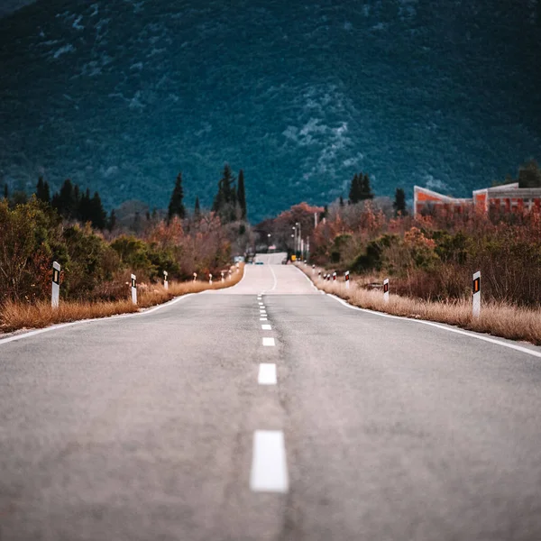 Bulutlu bir günde asfalt yol manzarası. Dramatik bulutlu gökyüzünün altındaki ormanda yol. Göz alabildiğine uzanan asfalt bir otoyolu olan geniş, açık çayır görüntüsü..