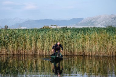 METKOVIC, CROATIA - 19 Ekim 2024: Güney Hırvatistan 'ın bataklıklarında 