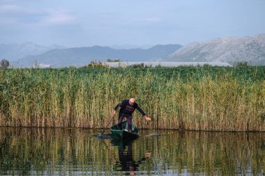 METKOVIC, CROATIA - 19 Ekim 2024: Güney Hırvatistan 'ın bataklıklarında 