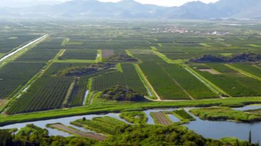 Manzaralı Neretva Vadisi 'nde canlı tarım alanları ve yemyeşil alanlar eşsiz mandalina bahçeleri ve su yolları sergiliyor.