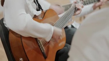 Hırvatistan 'da Geleneksel Dalmaçyalı Mandolinleri Canlı Performans, Yakın Çekim sırasında Çalan Müzisyenler