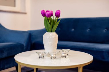 Beyaz seramik vazoda canlı mor laleler modern yuvarlak sehpanın üzerinde lacivert kanepe arka planında.