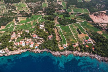 Hırvatistan 'ın başkenti Dalmaçya' nın Peljesac yarımadasındaki Kristal Temiz Adriyatik Denizi 'nin Sahil Villaları ve Üzüm Bahçeleri Hava Görüntüsü