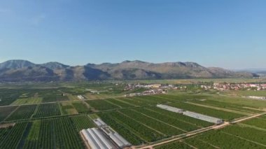 Hırvatistan 'ın Neretva Vadisi' nin Bereketli Alanlar ve Tarım Manzaraları Havadan Görünümü. Meyve bahçeleri ve tarım arazileri. Güneşli bahar ve yaz günü.