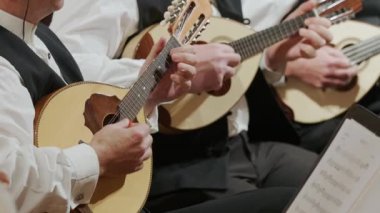 Hırvatistan 'da Canlı Performans, Yakın Çekim sırasında Geleneksel Dalmaçyalı Mandolinlerini Yavaş Çekimde Çalan Müzisyenler